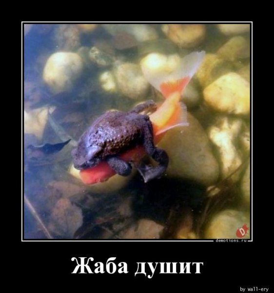 Душит жаба демотиваторы