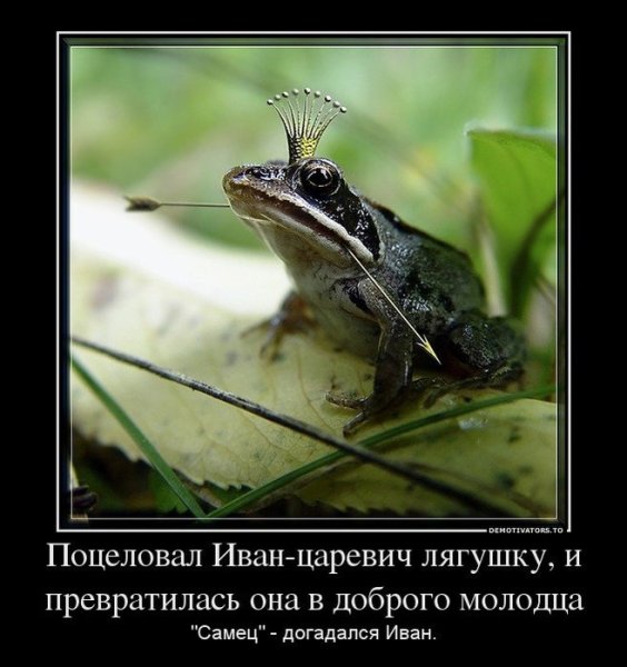 Черная лягушка