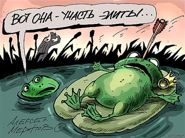 Анекдот про лягушку