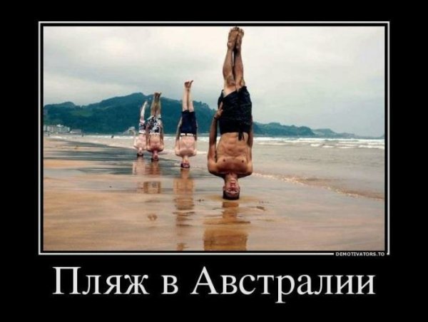 Австралийцы вверх ногами
