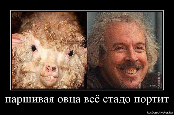 Макаревич баран
