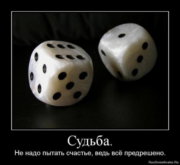 Смешные картинки про судьбу