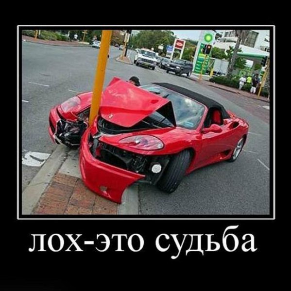 Лох это судьба фото