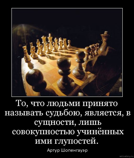 Демотиваторы про глупость
