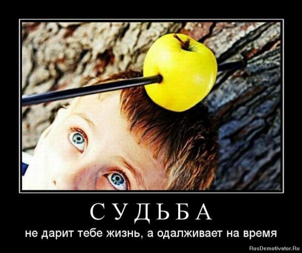 Мальчик с яблоком на голове и стрелой