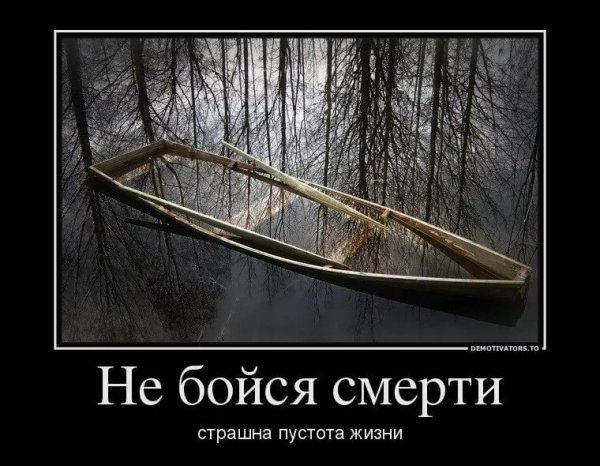Лучшие демотиваторы со смыслом