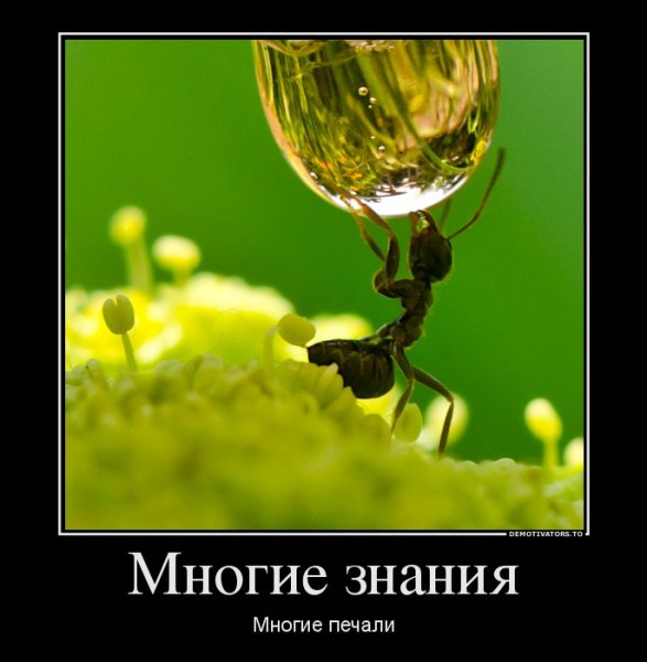 Философия демотиватор