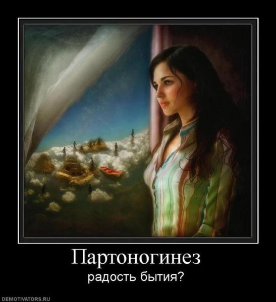 Шизофрения демотиватор