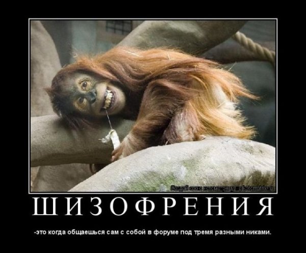 Шизофрения прикол