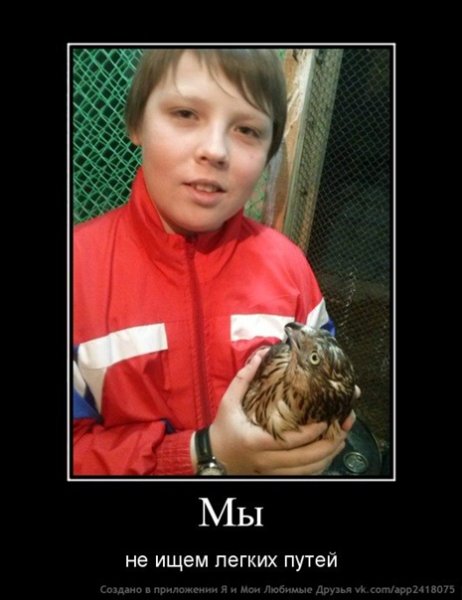 Демотиваторы на злобу дня