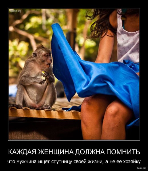 Позитивные демотиваторы для поднятия настроения