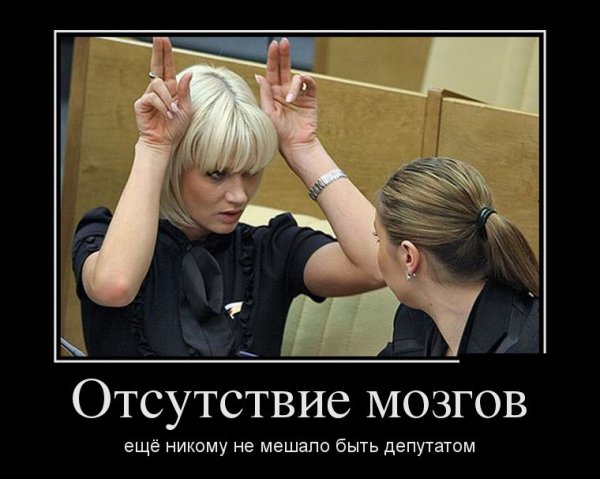 Госдума демотиваторы