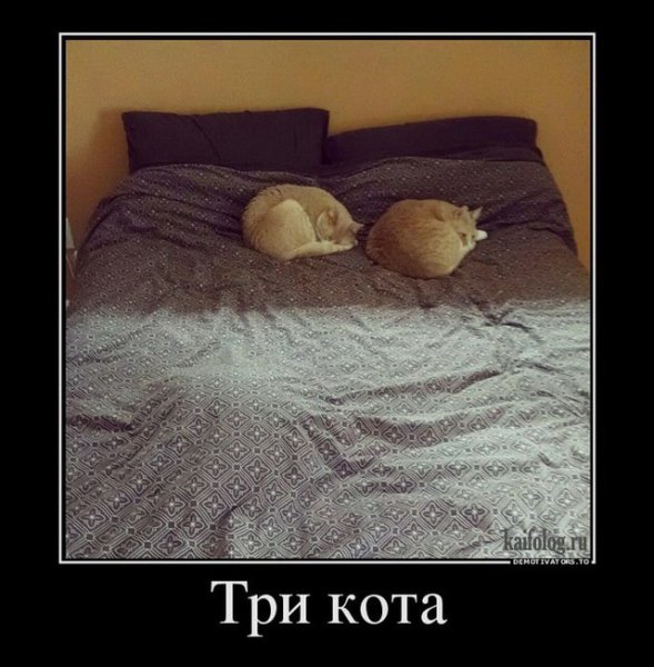 Милые демотиваторы