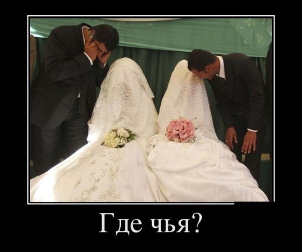 Демотиваторы свадьба прикол