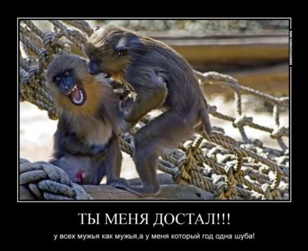 Веселые картинки как все достало