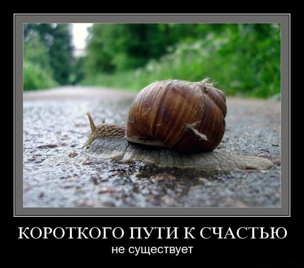 Счастье есть демотиватор