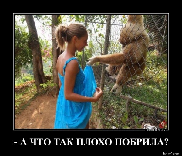 Демотиваторы стринги