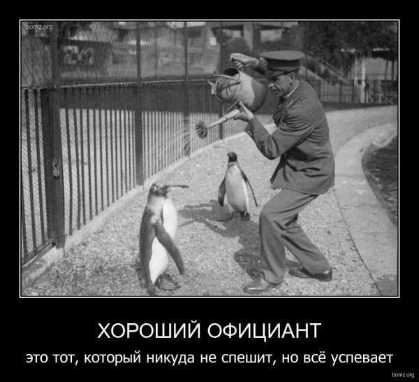 Никуда не спешить
