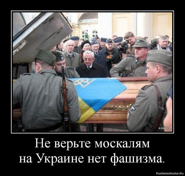 Нацисты демотиваторы