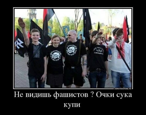 Демотиваторы нежность