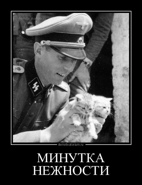 Демодератор про Навального
