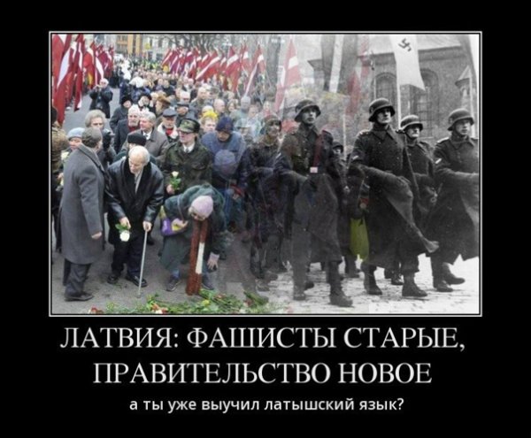 Нацизм демотиваторы
