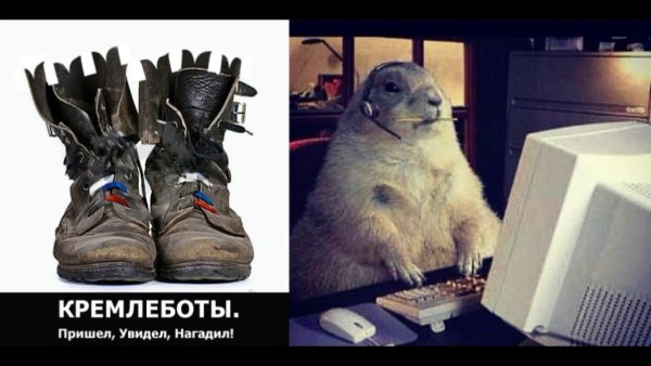 Тролли кремлеботы