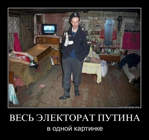 Типичный путинский электорат