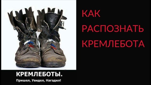 Кремлеботы туфли