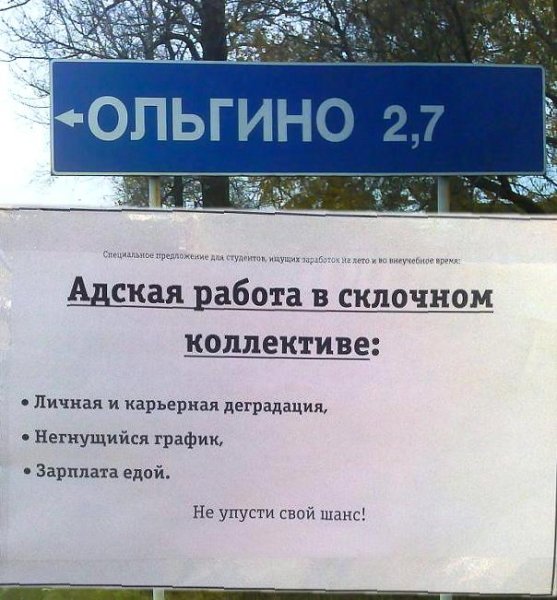 Кремлеботы в Ольгино
