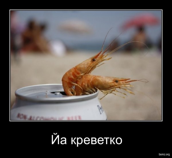 Креветка Мем