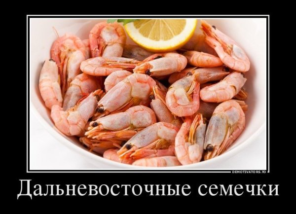 Шутки про креветки