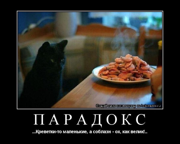 Креветка юмор