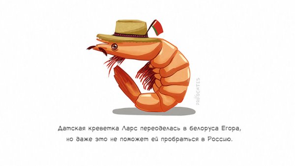 Креветка прикол