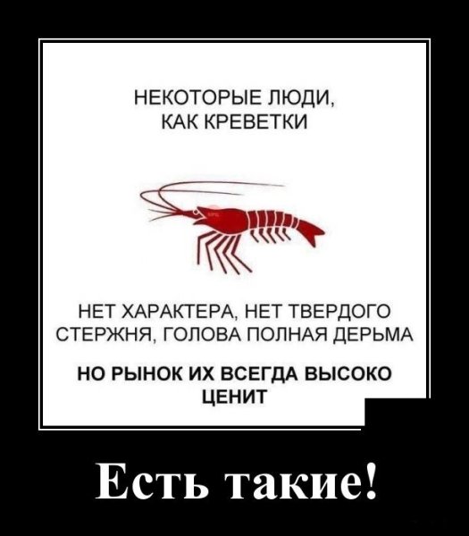 Креветка демотиватор