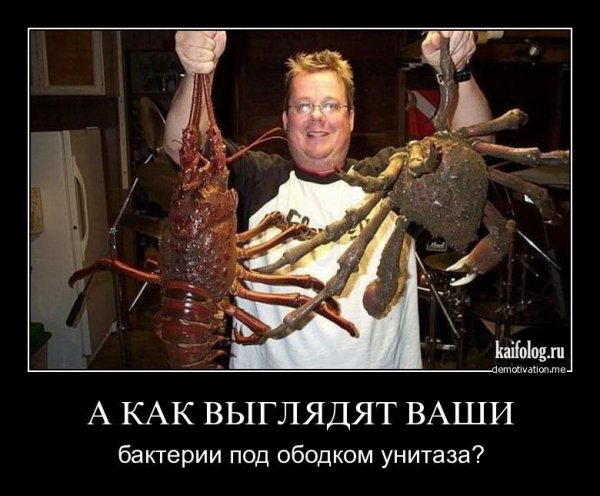 Некоторые люди как креветки