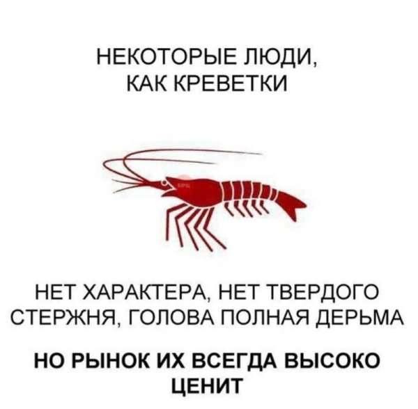 Смешная креветка