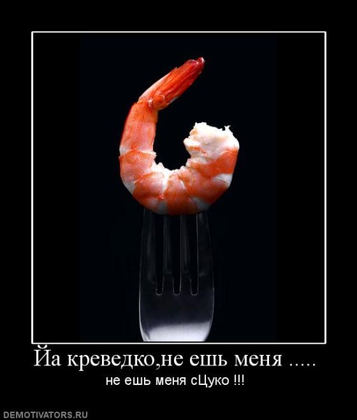 Розыгрыш креветок