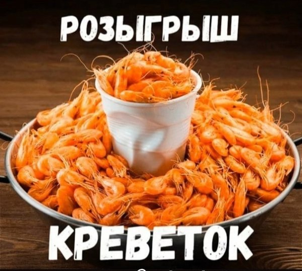 Самая большая креветка в мире