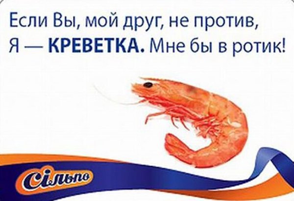 Привет креветка