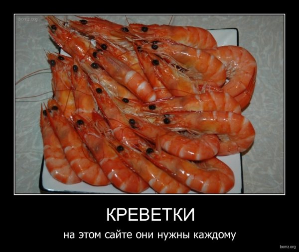 Чилим креветка Пресноводная