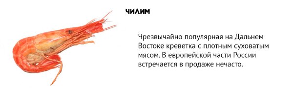 Морепродукты юмор