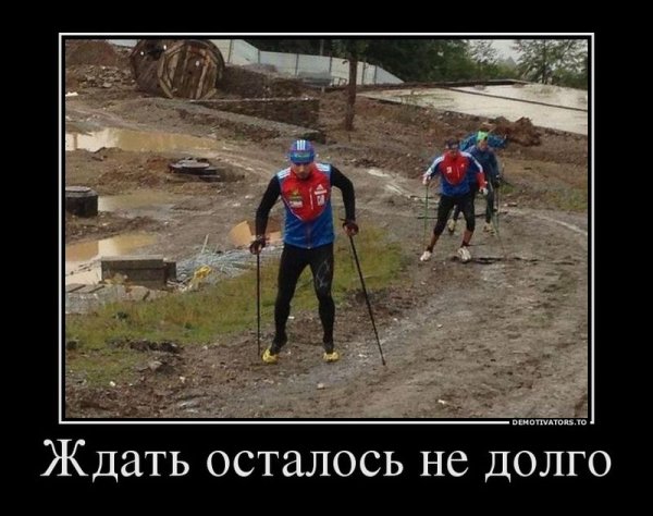 Лыжник прикол