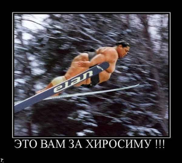 Горные лыжи демотиватор