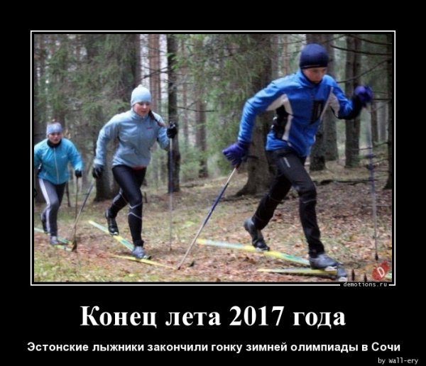 Лыжи демотиватор