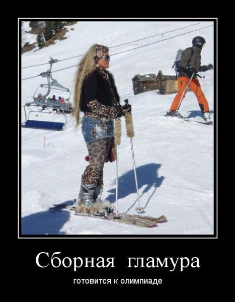 Горные лыжи демотиватор