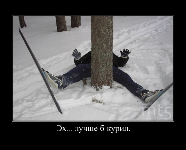 Лыжи прикол