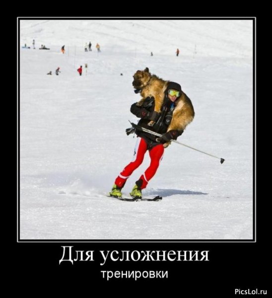 Приколы про сноубордистов