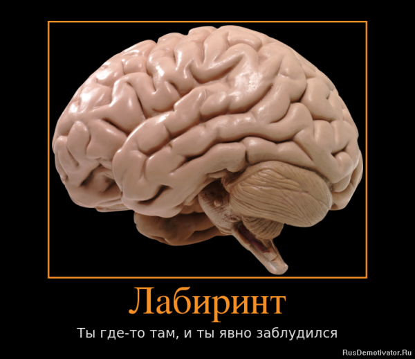 Смешные мозги