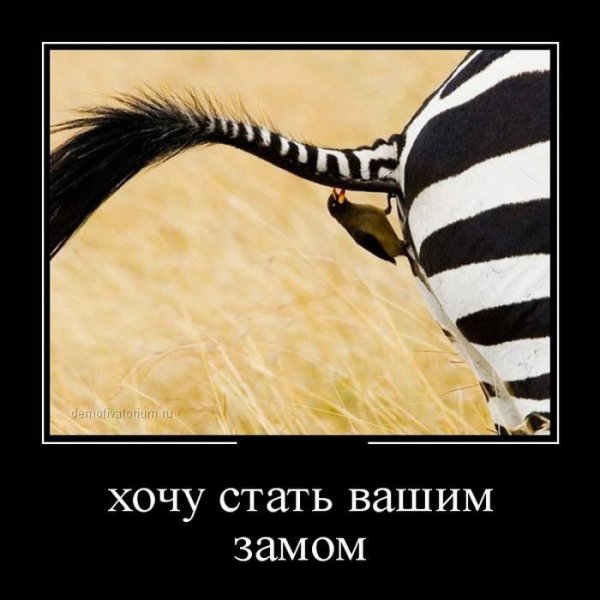 Демотиваторы хорошего настроения